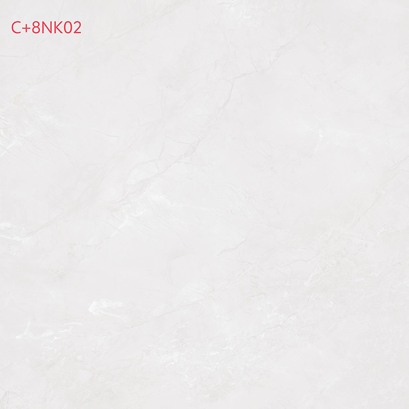 C+8NK02